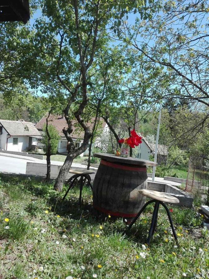 Apartmani Jankovic Врднік Екстер'єр фото