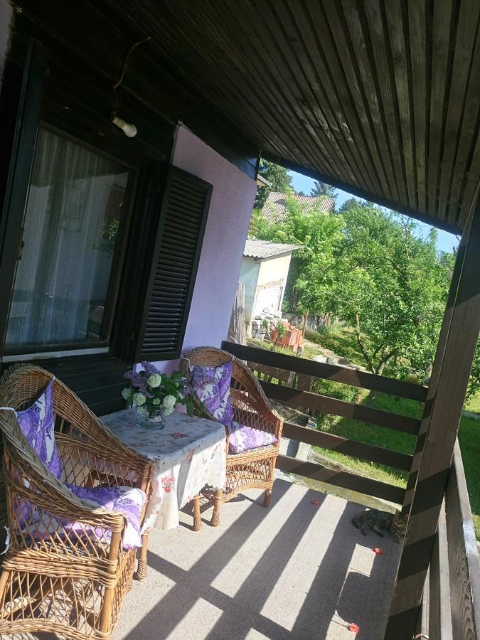 Apartmani Jankovic Врднік Екстер'єр фото
