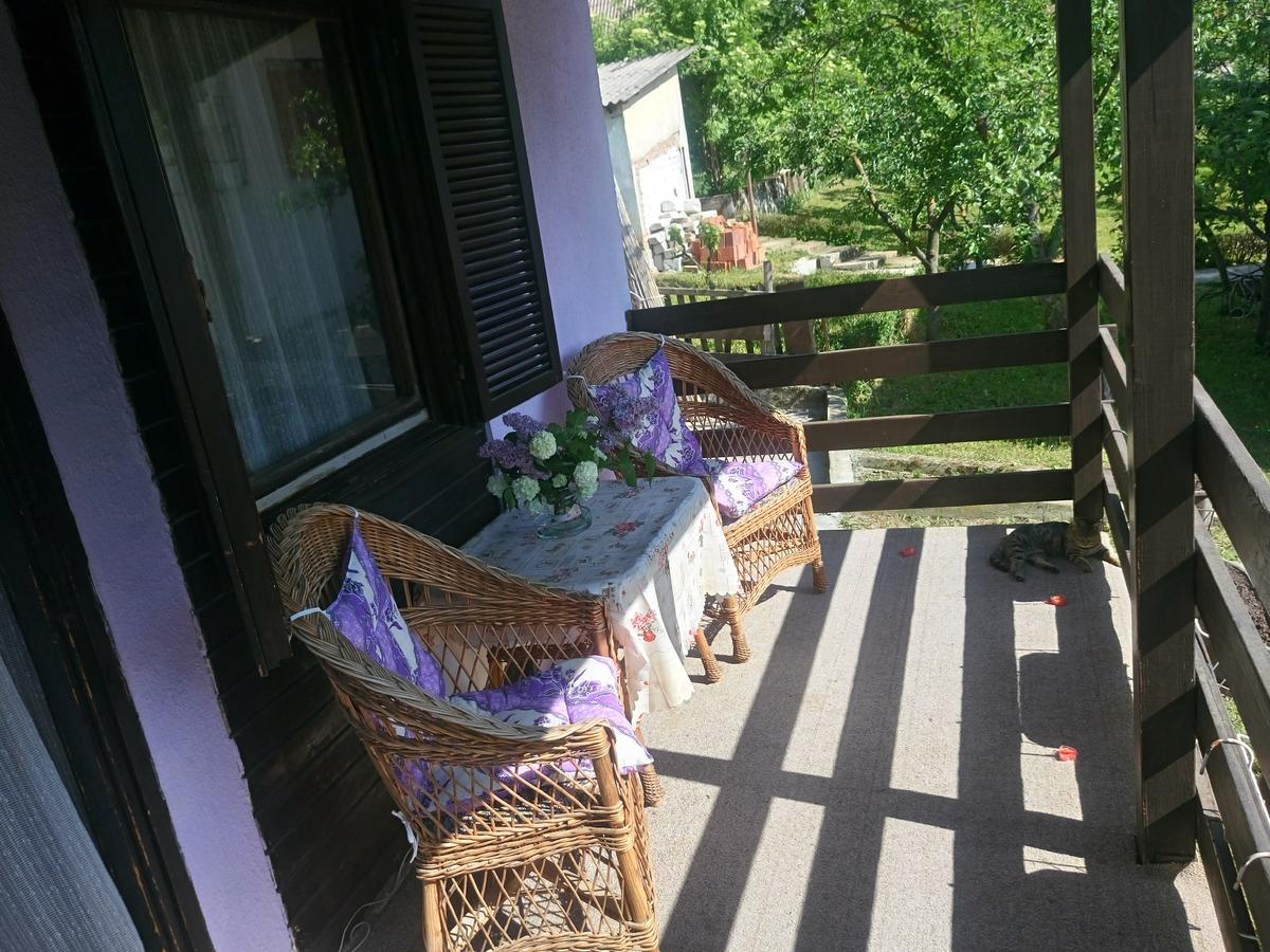 Apartmani Jankovic Врднік Екстер'єр фото