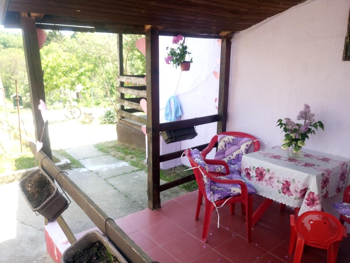 Apartmani Jankovic Врднік Екстер'єр фото